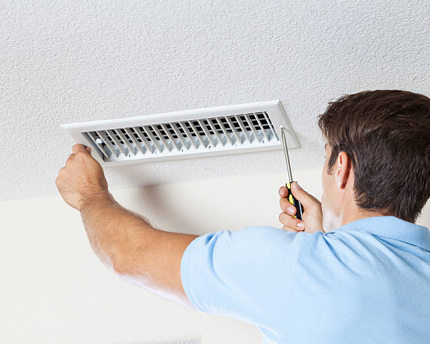 Best Mold Prevention Services  in Lindsay, TX