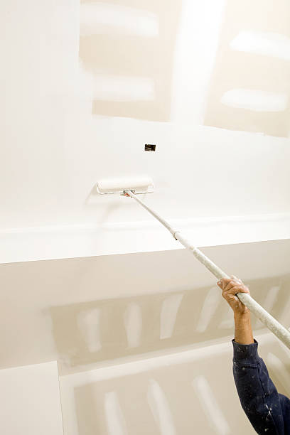 Best Water Damage & Mold Remediation  in Lindsay, TX
