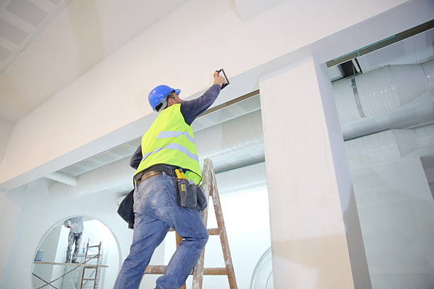 Best Basement Mold Removal  in Lindsay, TX