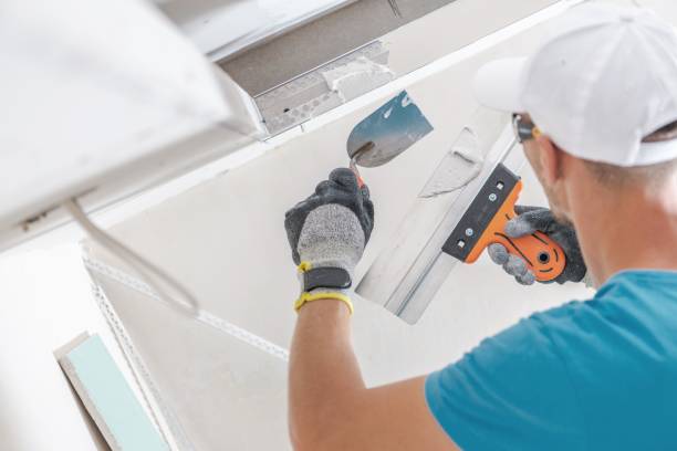 Best Comprehensive Air Testing for Mold Contaminants  in Lindsay, TX